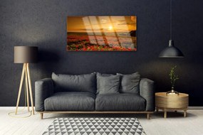 Skleneny obraz Pole maky západ slnka lúka 140x70 cm