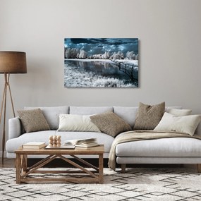 Obraz - Zamrznutá krajina (90x60 cm)