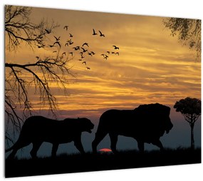 Sklenený obraz Safari (70x50 cm)