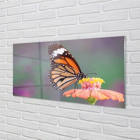 Nástenný panel  Farebný motýľ kvetina 140x70 cm