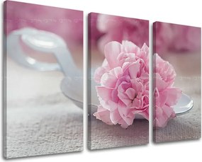 Obraz na stenu 3 dielny KVETY KV100E30 - 60x40 cm