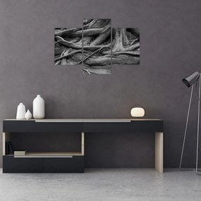 Obraz - Korene stromu (90x60 cm)