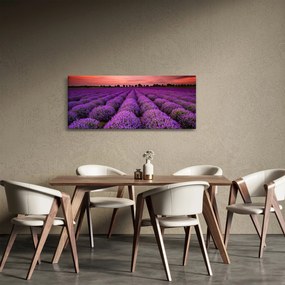 Obraz - Levanduľové pole (120x50 cm)