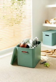 Rotho Úložný box, rovný s víkom, 27l, matná zelená ALBU LIGHT, 37x29x30