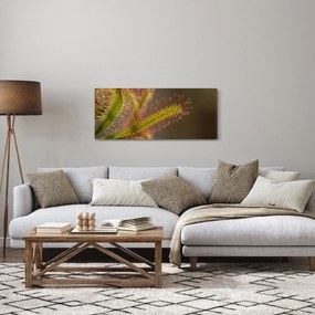 Obraz rastliny (120x50 cm)