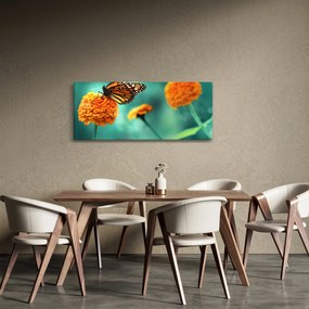 Obraz motýľa (120x50 cm)