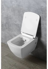 Isvea - WC sedátko SoftClose PURITY biela