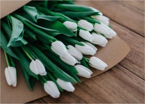 Sklenený obraz kytice bielych tulipánov (70x50 cm)