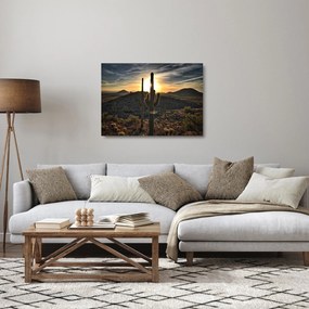 Sklenený obraz - kaktusy v slnku (70x50 cm)