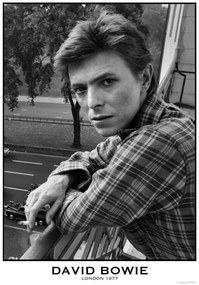 Plagát, Obraz - David Bowie - London 1977, (59.4 x 84.1 cm)