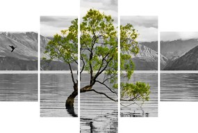 Obraz stromu uprostred jazera (150x105 cm)