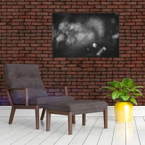 Obraz - Lúčna tráva (90x60 cm)