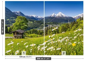 Fototapeta Vliesová Bavorsko hory 152x104 cm