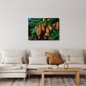 Sklenený obraz šišiek (70x50 cm)