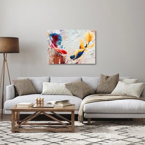 Sklenený obraz - Ryby bojovníčky (70x50 cm)