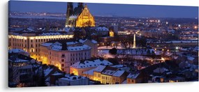 Obraz - Katedrála sv. Petra a Pavla, Brno, Česká Republika (120x50 cm)