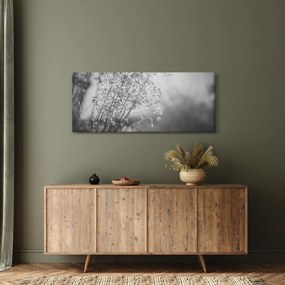 Obraz - Lúka po daždi (120x50 cm)
