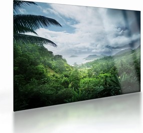 Sklenený obraz - Seychelská jungle (70x50 cm)