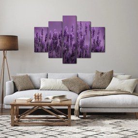 Obraz - Levanduľa (150x105 cm)
