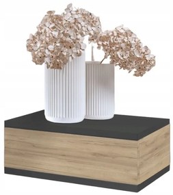 Nočný stolík LOFT - grafitový/dub craft zlatý