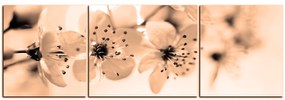 Obraz na plátne - Malé kvety na vetve - panoráma 5173FC (120x40 cm)