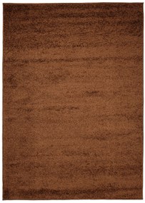 Dizajnový koberec DESERT - SHAGGY ROZMERY: 160x220