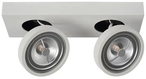 Lucide 09920/20/31 - LED Stmievateľné bodové svietidlo NENAD AR111 G53/2x10W/18V