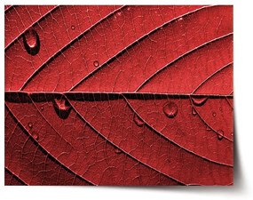 Sablio Plagát Červený list - 60x40 cm