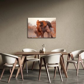 Obraz - Veľký slon africký (70x50 cm)