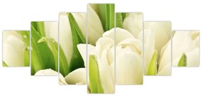 Detail tulipánov - obraz