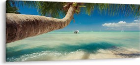 Obraz - Čisté more s palmou (120x50 cm)