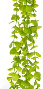Umelý krík drobnolistý Eukalyptus, tm. zelená, 120 cm