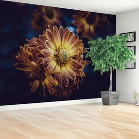 Fototapeta Vliesová Žltý kvet 250x104 cm