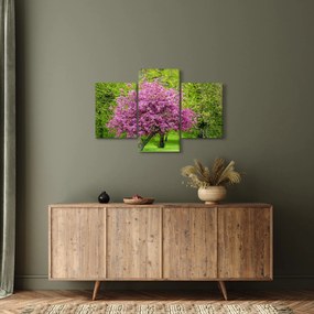 Obraz rozkvitnutého stromu na lúke (90x60 cm)