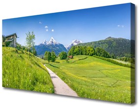 Obraz Canvas Hory lúka chodník údolí 125x50 cm