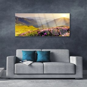 Obraz plexi Hora lúka krajina 125x50 cm