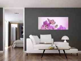 Obraz - Motýľ na kvetoch orchidey, lila (120x50 cm)