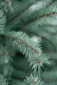 Limpol Jedľa Renáta silver 180 cm