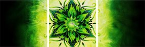 Obraz - Kvetinová mandala v zelenom pozadí (s hodinami) (90x30 cm)