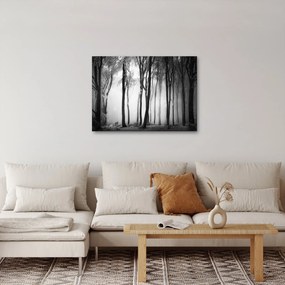 Obraz - Vlk v temnom lese (70x50 cm)
