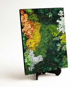 DUBLEZ | Machový tlačený obraz - Paradise