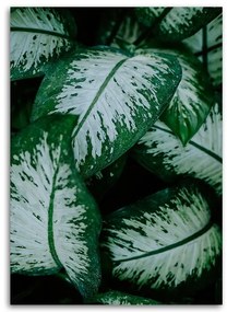Gario Obraz na plátne Tropické listy biele a zelené Rozmery: 40 x 60 cm