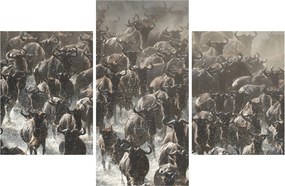 Obraz - Stádo pakoňov (90x60 cm)