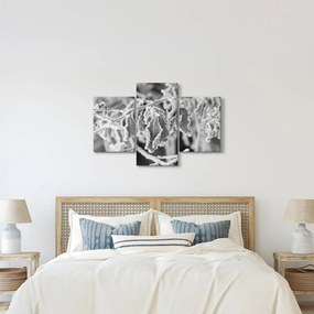Obraz - Zmrznuté listy, čiernobiela (90x60 cm)