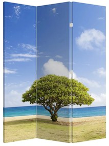 Paraván - Pláž za stromom (126x170 cm)