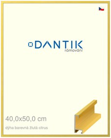DANTIK rám na obraz 40x50 | ALU Dýha barevná žlutá citrus (Sklo Čiré)
