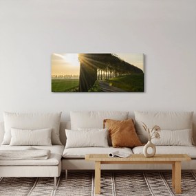 Obraz aleje (120x50 cm)