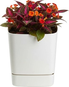 Sada 3 ks květináčů s podmiskou Cubi krémová