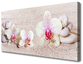 Obraz Canvas Orchidea kamene zen písek 120x60 cm