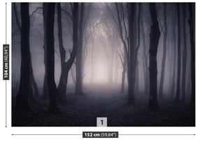 Fototapeta Vliesová Temný les 250x104 cm